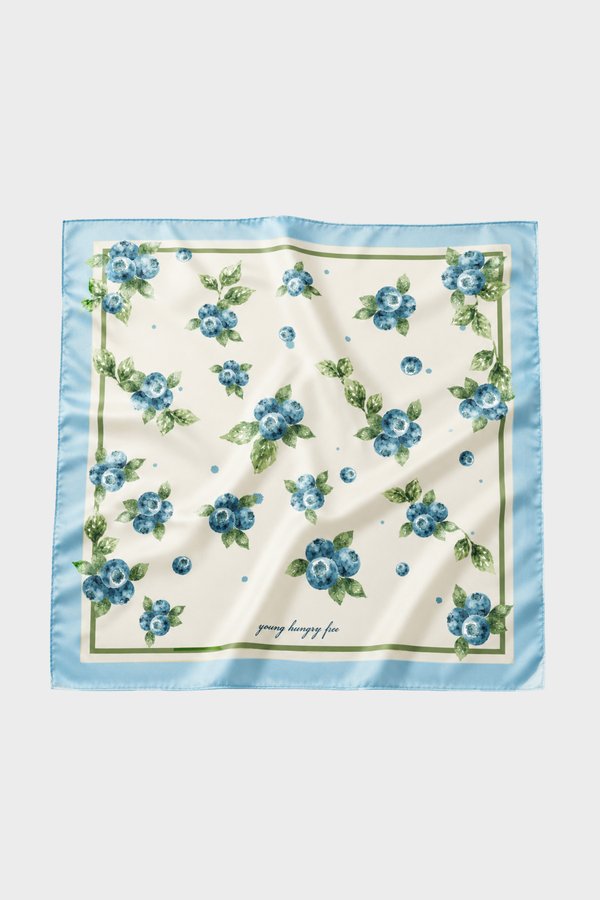 Fresh Pressed Scarf in Blue